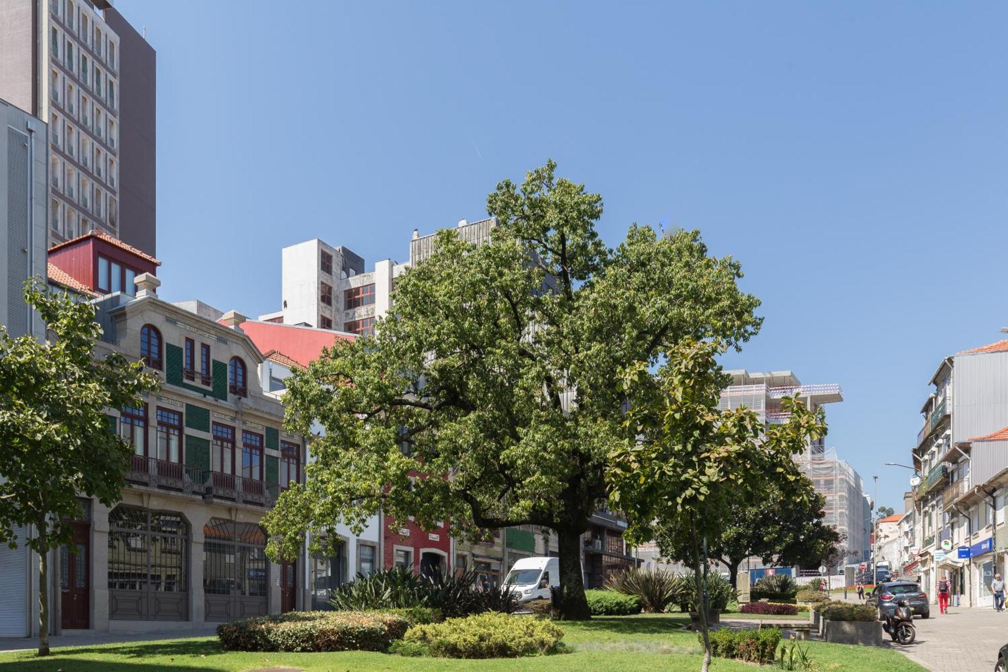Qp Apartments Trindade Porto Exteriér fotografie